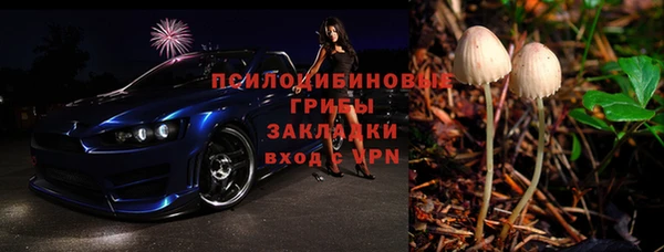 прущая мука Абаза