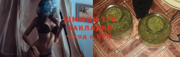 прущие грибы Кодинск