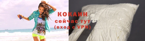 ПСИЛОЦИБИНОВЫЕ ГРИБЫ Козловка