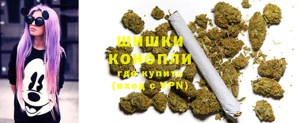 стафф Няндома