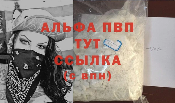 PSILOCYBIN Нязепетровск
