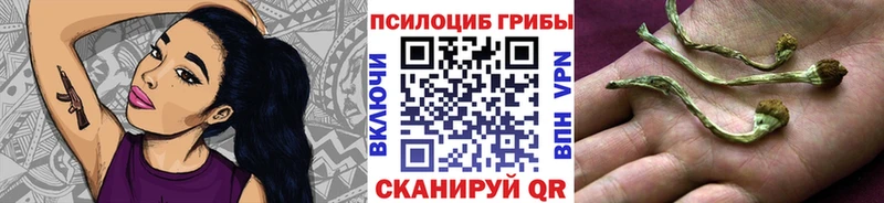 Псилоцибиновые грибы мицелий  ссылка на мегу tor  Тайга  где продают  