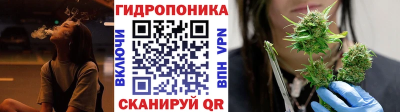 дарк нет официальный сайт  Тайга  Бошки Шишки тримм 